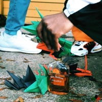 MIGRATE (feat. Sunset Sloan) - Single - Mack Swans