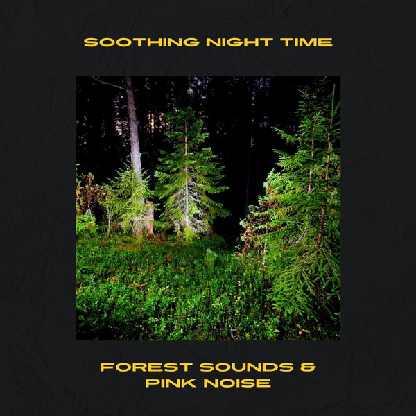 Soothing Night Time Forest Sounds & Pink Noise, Loopable