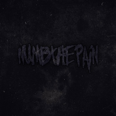Numb the Pain (feat. $a13m Sh4wtyy & Santino Nox) - Single