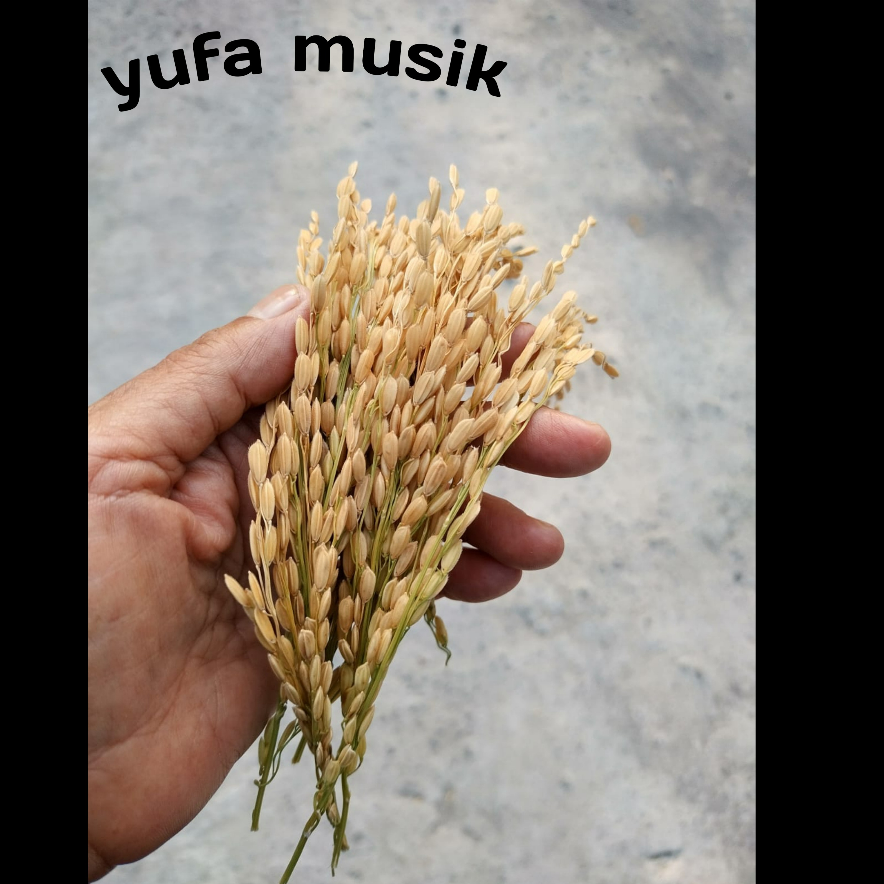 Kehidupan (feat. ERY SETYANTO) [Acoustic] - Single