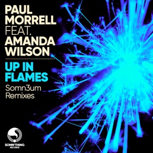 Up in Flames (Somn3um Remixes) [feat. Amanda Wilson] - Single