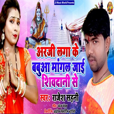 Arji Laga ke Babua Mangala Jai Sivdani Se - Single