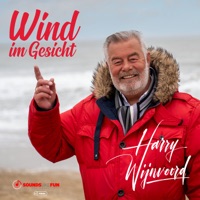 Wind Im Gesicht