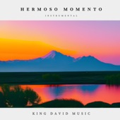 Hermoso Momento (Instrumental) artwork