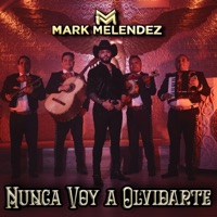 nunca voy a olvidarte