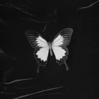 Hangar - Single - Charlie Hickey