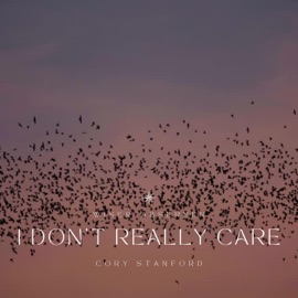 I Don't Really Care (feat. Cory Stanford) Wiser Observer
