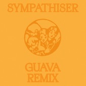 Sympathiser (Guava Remix) artwork