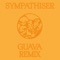 Sympathiser (Guava Remix) artwork