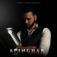 Spinghar (feat. Shamali Afghan) - Single - Hawa Studios