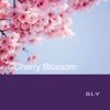 Cherry Blossom - Single