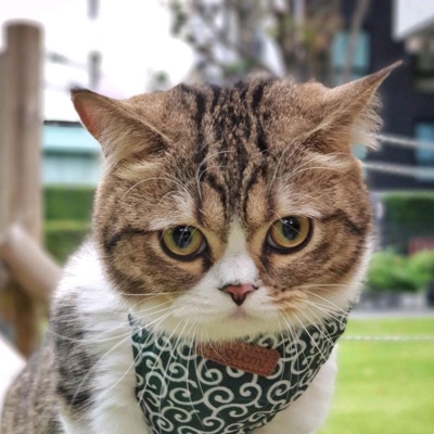 LILTY - เปาบุนจิ้นชอบกินไข่เต่า