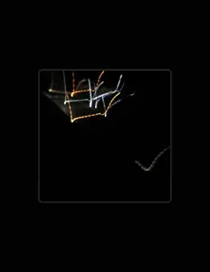 Listen to Jorne, watch music videos, read bio, see tour dates & more!