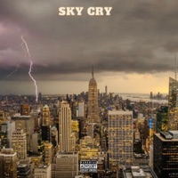 Sky Cry - Single - Act