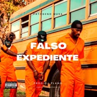 Falso Expediente - Single - Patogeno Musa