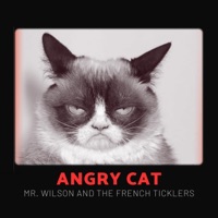 Angry Cat - Single - Mr. Wilson & the French Ticklers