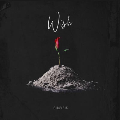 Wish - Single