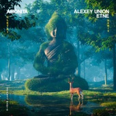 Uletai (Alexey Union & ETNE Remix) artwork