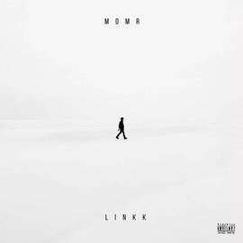Moon on My Wrist (feat. Tokyoheartz) Linkk