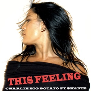 This Feeling (feat. Shanie) - Single
