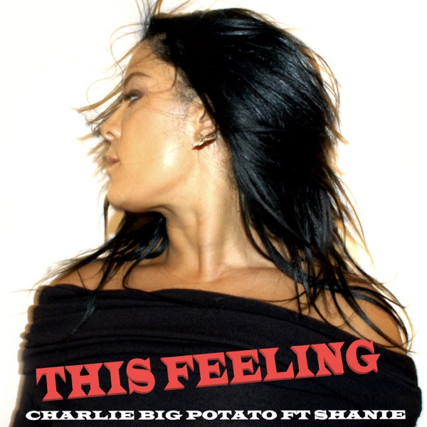 This Feeling (feat. Shanie) - Single