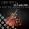 Life Is Amazing (Helvetic Nerds Rock-a-Dub) - Chris Reece & John Williams lyrics