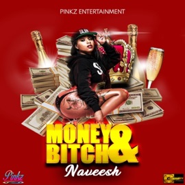 Money & Bitch Naveesh