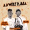 A Nwele Bjala (feat. Dj Mish 2) - Dr Nel lyrics