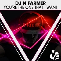 You're the One That I Want (feat. Alba Kras & Tony T) - Single - DJ N'Farmer