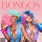 Bongos (Radio Edit) artwork