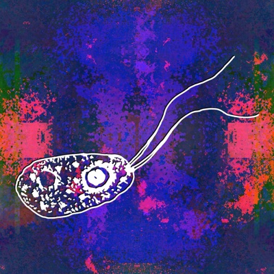 Brain Eating Amoeba - Single
