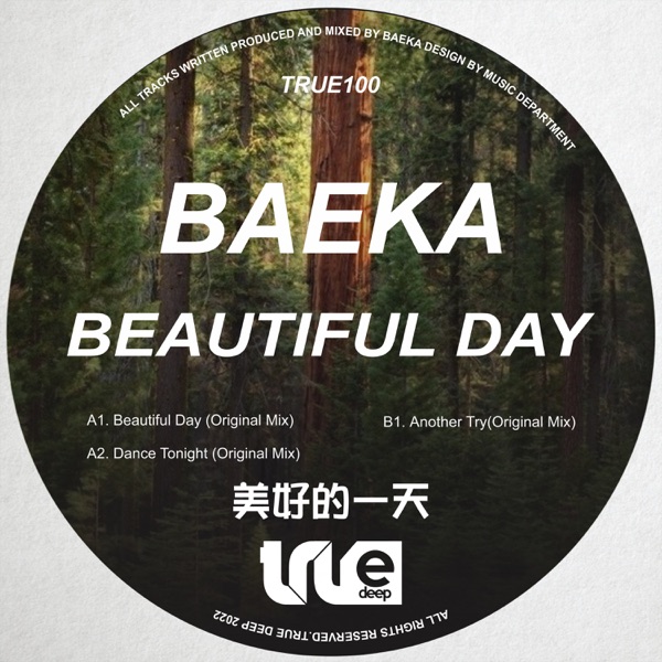 Beautiful Day - Single