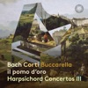 Francesco Corti Harpsichord Concerto No. 8 in D Minor, BWV 1059 (Reconstr. F. Corti): I. Allegro Bach: Harpsichord Concertos Part III