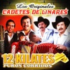 Homero Guerrero y Lupe Tijerina - Hermanos Bocanegra