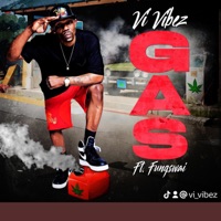 Gas (feat. Stupid Fungswai) - Single - Vi Vibez