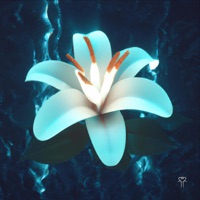 It Will Be Okey - Single - jaumev2