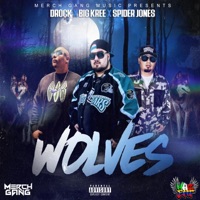 wolves (feat. D-Rock & spider jones) - Single - Big Kree
