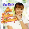 Aku Bukan Jodohnya - Single