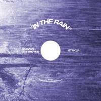 in the rain - Single - Darwin.Destroyed