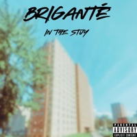In the Stuy (feat. Dej) - Single - Brigante