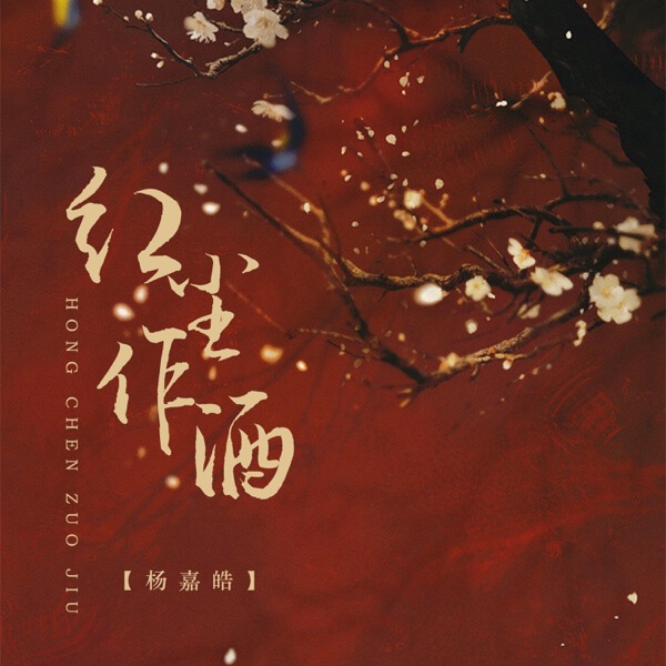 红尘作酒 - Single
