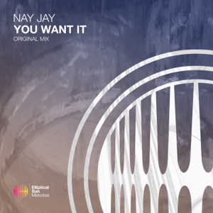 You Want It - Single