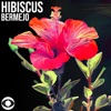 Hibiscus - Single