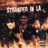 Stranded In LA (feat. Johnny Nash & Celly Bucks) - Single