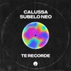 Te Recorde cover art