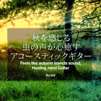 Feels like autumn insects sound,Healing mind Guitar vol.9, -Xmas Hit Song-