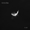 Pateicība (feat. Ralfs Gaubšteins & Sandija Fridrihsone) - Single