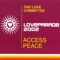 Access Peace (Loveparade 2002) [Dr. Motte Remix / Extended] artwork