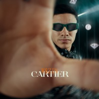Cartier (feat. Custic) - Single - W$zin