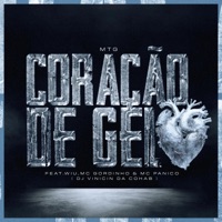 CORAÇÃO DE GELO - Single - Dj Vinicin da cohab